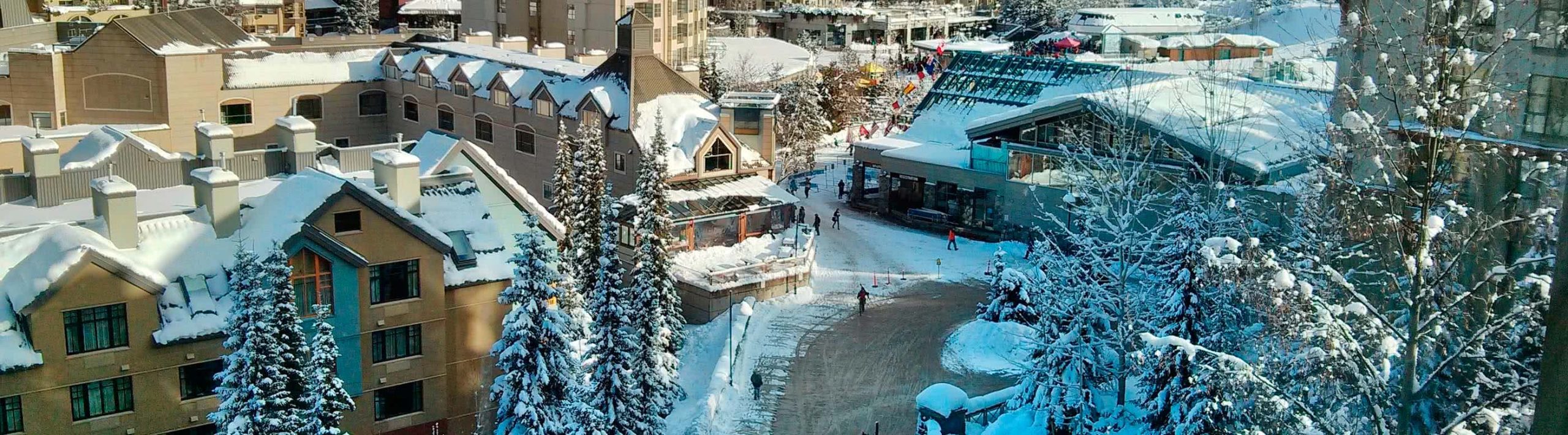 Snowy whistler community