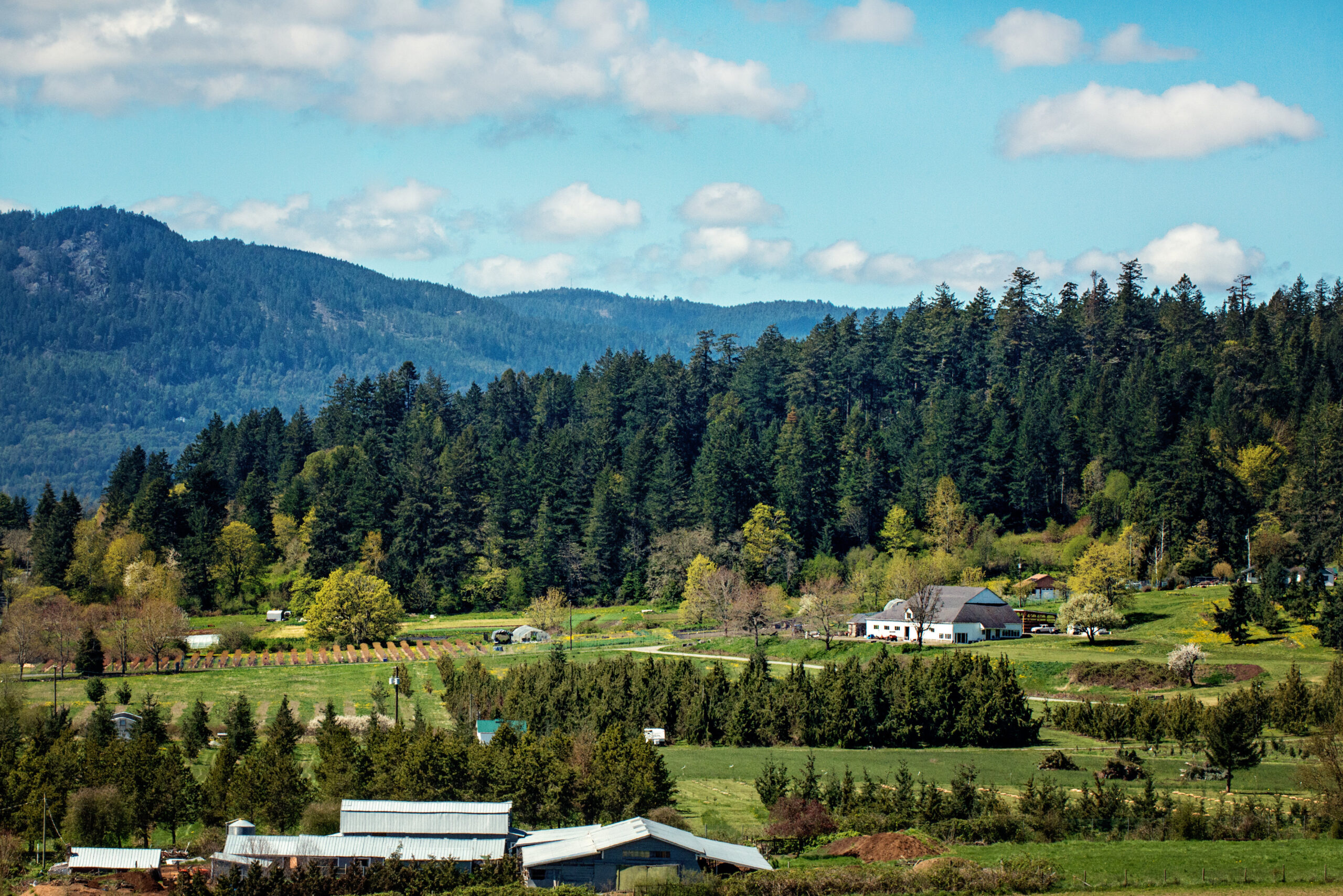 A view of Central Saanich, British Columbia