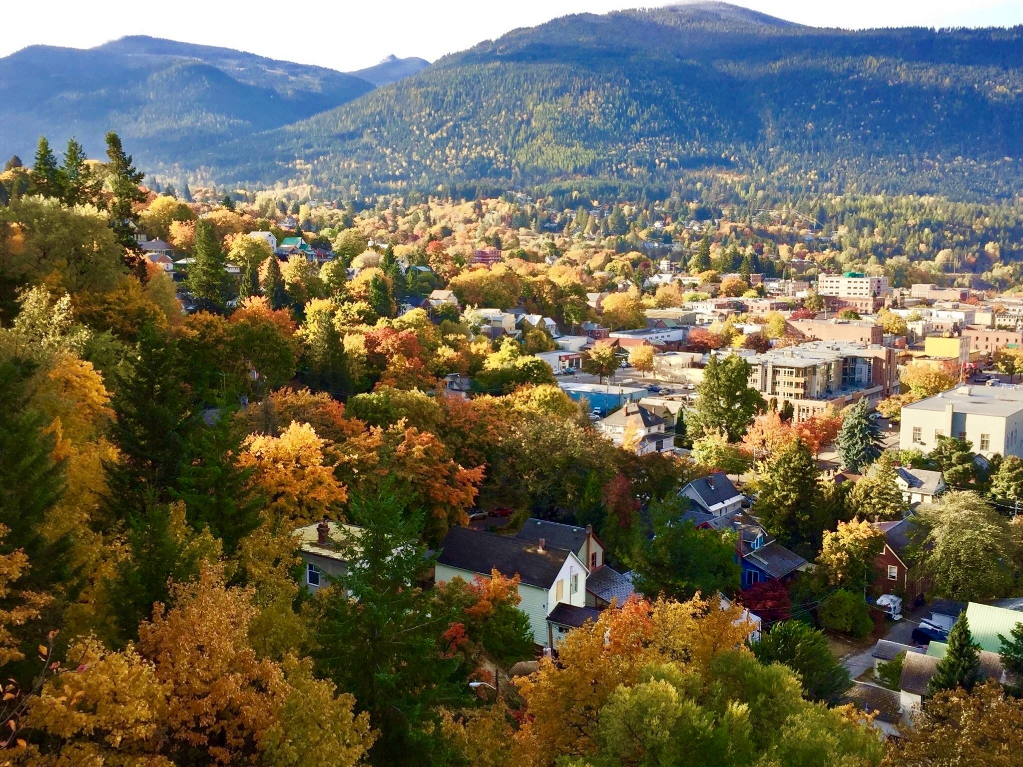 Homes and buildings are nestled in between the trees of Central Kootenay.