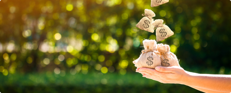 A set of hands reach out from the right side of the image. Small burlap bags with the dollar sign logo are falling into the hands.