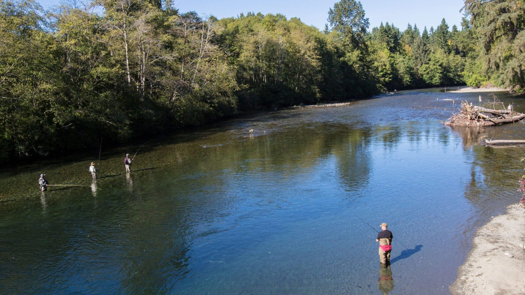 A wide shot of a man standing in the middle of a shallow river fishing.